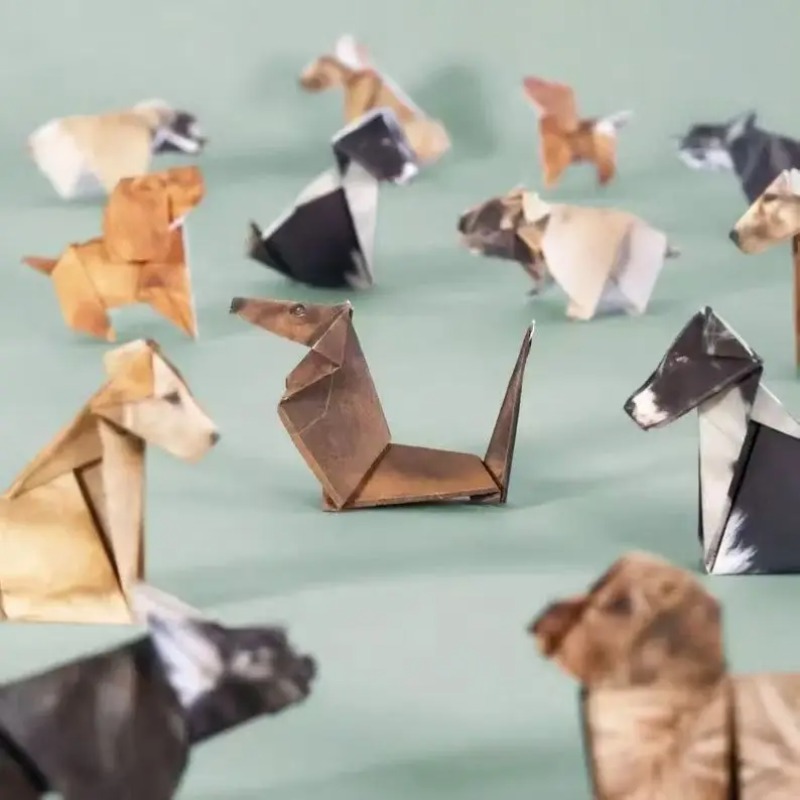 50Pcs DIY Origami Paper Kit Ca - Dinosaur And Craft review and price