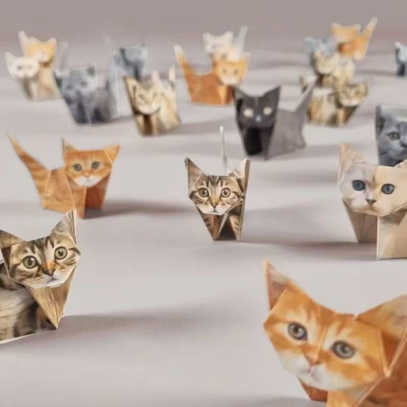 150PCS Animal Origami Paper Ki - Dinosaur And Craft review and price